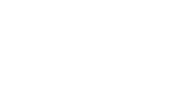 Brinks Home Security Logo