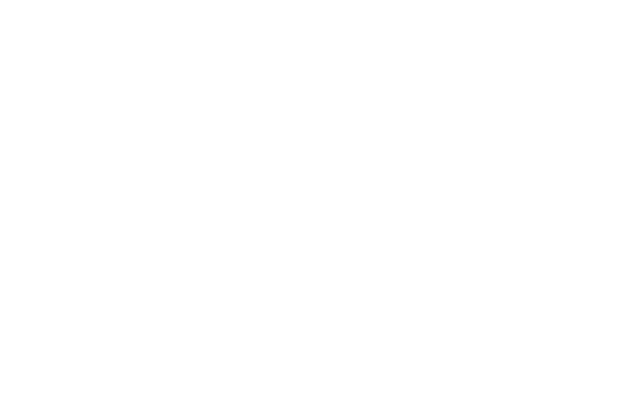 The Parnell Group Logo
