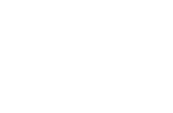 Epic Fans Logo