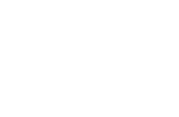 spedtex-logo